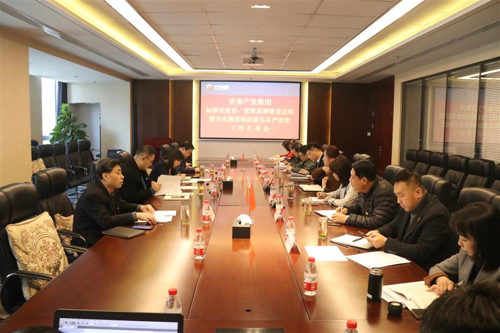 集團黨委召開黨組織標準化建設、 黨建品牌建設活動總結(jié)暨各直屬黨組織落實從嚴治黨工作匯報會議
