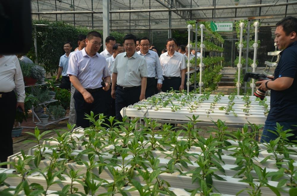 科技助農(nóng)，播撒光的種子  精準扶貧，助力鄉(xiāng)村振興